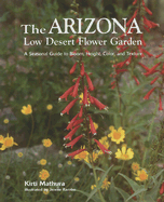 The Arizona Low Desert Flower Garden: A Seasonal Guide to Bloom, Height, Color, and Texture