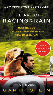 The Art of Racing in the Rain Movie Tie-In Edition - Stein, Garth