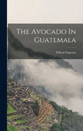The Avocado In Guatemala