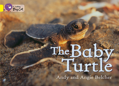 The Baby Turtle: Band 03/Yellow - Belcher, Andy, and Belcher, Angie, and Moon, Cliff (Series edited by)