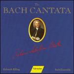 The Bach Cantata, Vol. 16 - Adalbert Kraus (tenor); Helen Donath (soprano); Inga Nielsen (soprano); Nobuko Gamo-Yamamoto (soprano);...
