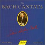 The Bach Cantata, Vol. 44 - Aldo Baldin (tenor); Gabriele Schreckenbach (alto); Helen Watts (alto); Hildegard Laurich (alto); Kurt Equiluz (tenor);...