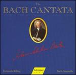 The Bach Cantata, Vol. 62