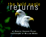 The Bald Eagle Returns