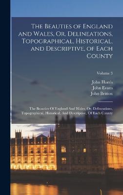 The Beauties of England and Wales, Or, Delineations, Topographical, Historical, and Descriptive, of Each County: The Beauties Of England And Wales, Or, Delineations, Topographical, Historical, And Descriptive, Of Each County; Volume 3 - Britton, John, and Brayley, Edward Wedlake, and Brewer, James Norris