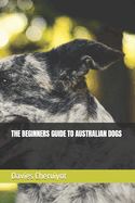 The Beginners Guide to Australian Dogs