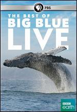 The Best of Big Blue Live