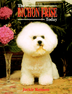 The Bichon Frise Today
