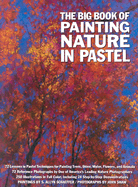 The Big Book of Painting Nature in Pastel - Schaeffer, S Allyn, and Shaw, John (Photographer)