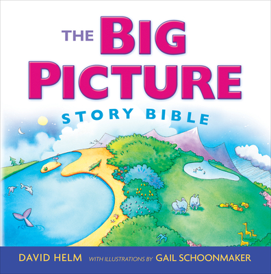 The Big Picture Story Bible (Redesign) - Helm, David R