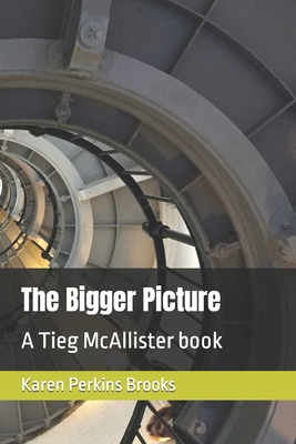 The Bigger Picture: A Tieg McAllister book - Brooks, Karen Perkins
