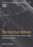 The Biochar Debate: Charcoal's Potential to Reverse Climate Change and Build Soil Fertility