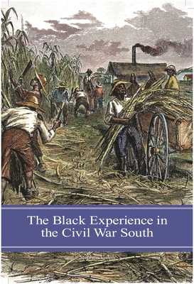 The Black Experience in the Civil War South - Ash, Stephen