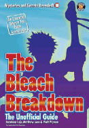 The Bleach Breakdown: The Unofficial Guide