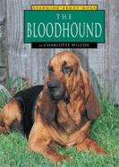 The Bloodhound - Wilcox, Charlotte