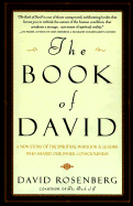 The Book of David: A New Story of the Spiritual Warrior and Leader Who Shaped Our Inner Consciousne SS