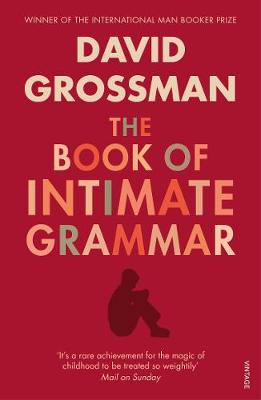 The Book Of Intimate Grammar - Grossman, David, and Rosenberg, Betsy (Translated by)