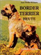 The Border Terrier