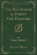 The Boy Scouts as Forest Fire Fighters (Classic Reprint)