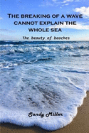 The breaking of a wave cannot explain the whole sea: The beauty of beaches
