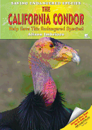 The California Condor: Help Save This Endangered Species!