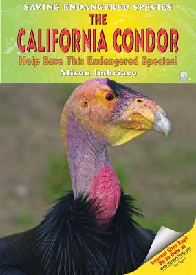 The California Condor: Help Save This Endangered Species! - Imbriaco, Alison