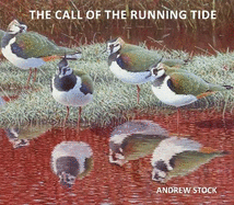 The Call of the Running Tide: An artist's odyssey across four continents