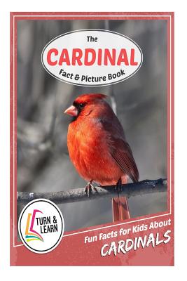 The Cardinal Fact and Picture Book: Fun Facts for Kids about Cardinals - McIntyre, Gina