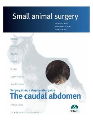 The caudal abdomen. Small animal surgery - Rodrguez, Jos, and Martinez, Ma Jose, and Graus, Jaime