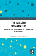The Cluster Organization: Analyzing the Development of Cooperative Relationships