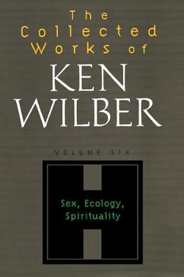 The Collected Works of Ken Wilber, Volume 6 - Wilber, Ken
