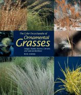 The Colour Encyclopedia of Ornamental Grasses: Sedges, Rushes, Restios, Cat-tails and Selected Bamboos