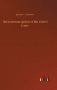 The Common Spiders of the United States