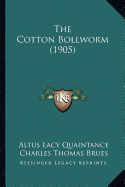 The Cotton Bollworm (1905)