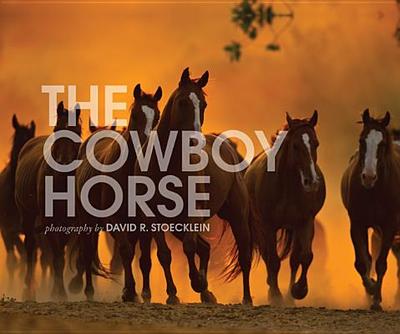The Cowboy Horse - Stoecklein, David R