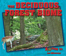 The Deciduous Forest Biome