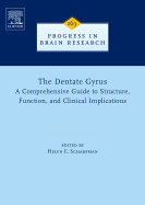 The Dentate Gyrus: A Comprehensive Guide to Structure, Function, and Clinical Implications