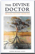 The Divine Doctor: Healing Beyond Medicine - Levry, Joseph Michael (Gurunam)