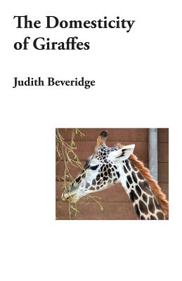 The Domesticity of Giraffes - Beveridge, Judith