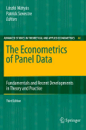 The Econometrics of Panel Data: Fundamentals and Recent Developments in Theory and Practice