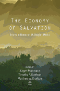 The Economy of Salvation: Essays in Honour of M. Douglas Meeks