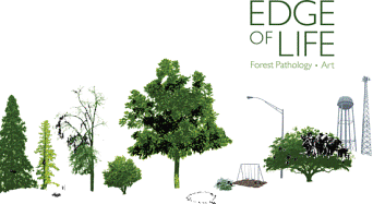 The Edge of Life: Forest Pathology Art