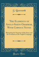 The Elements of Anglo-Saxon Grammar, with Copious Notes: Illustrating the Structure of the Saxon and the Formation of the English Language (Classic Reprint)