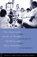 The Emotional Needs of Young Children and Their Families: Using Psychoanalytic Ideas in the Community