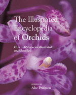 The Encyclopedia of Orchids: Over 1100 Species Illustrated and Identified - Pridgeon, Alec (Editor)