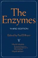 The Enzymes