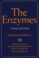 The Enzymes - 