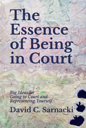 The Essence of Being in Court: Big Ideas for Going to Court and Representing Yourself