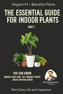 The Essential Guide For Indoor Plant Part 1: Home & Office Decor