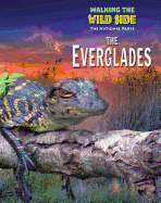 The Everglades